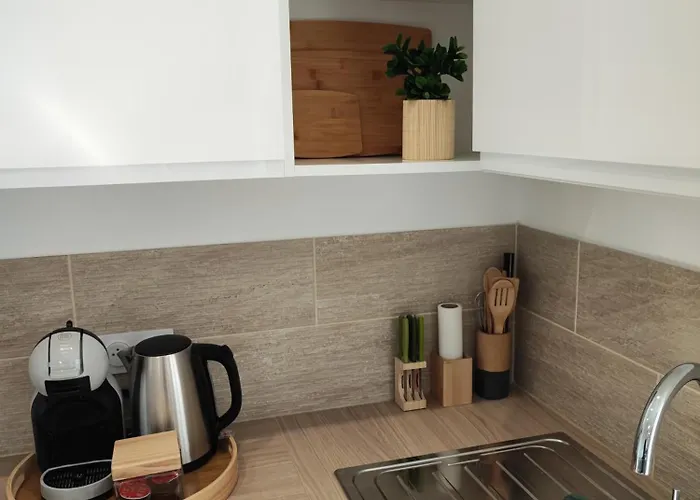 Cmg Xl 202 Petit Bois Place Ducale *