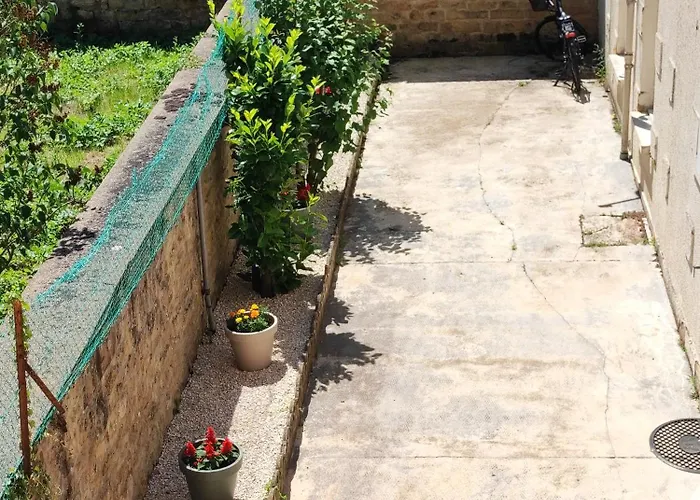 Cmg Xl 202 Petit Bois Place Ducale